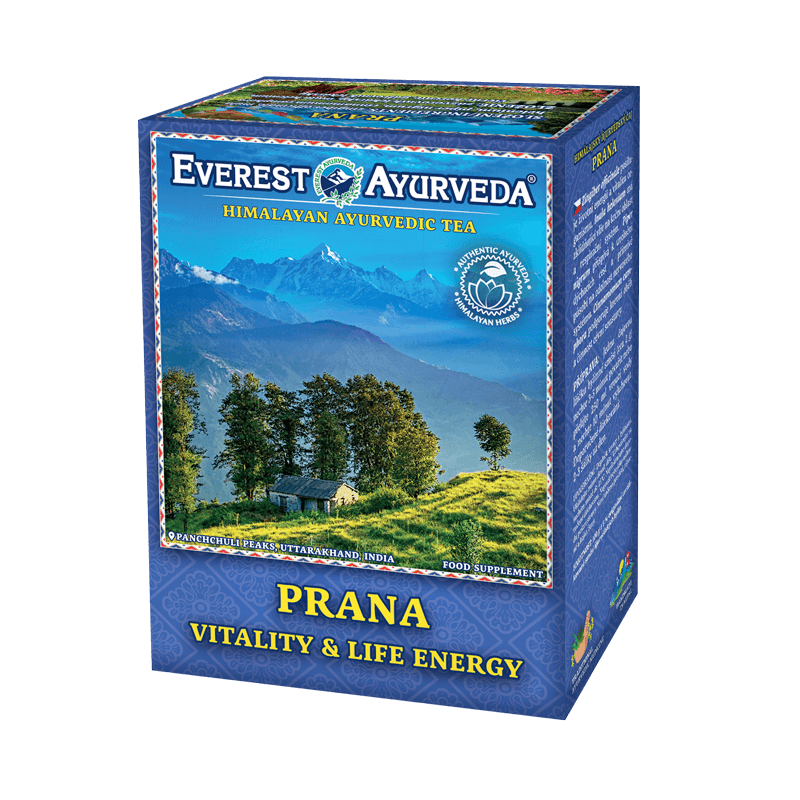 PRANA  Everest Ayurveda